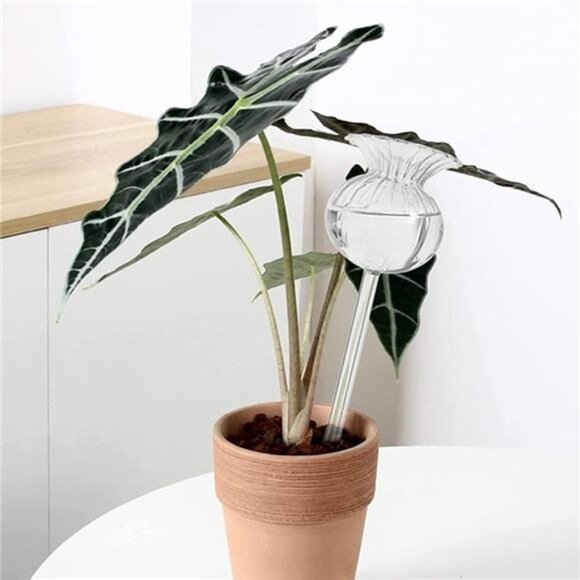 Plant Waterer Self Watering Globes Self Watering Spikes, Hand Blown Clear Glass - Picture 5 of 7